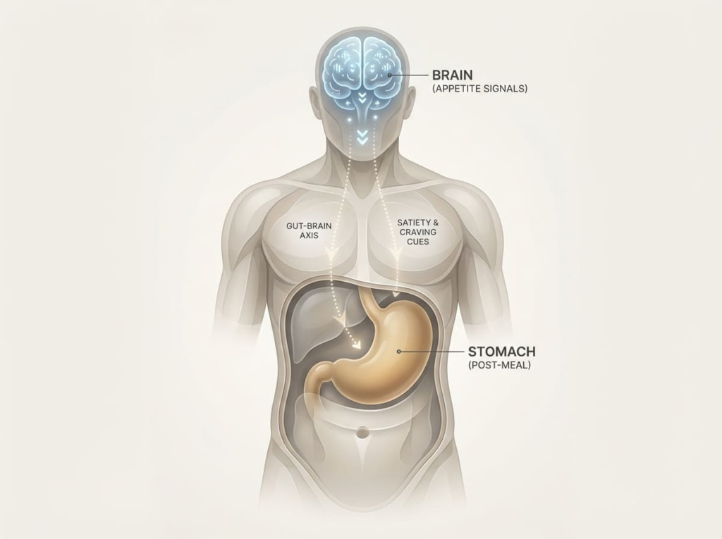 Overview of GLP-1 side effects